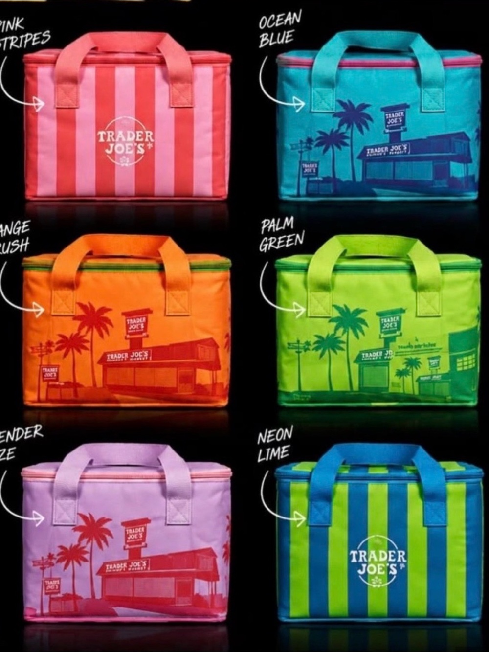 Trader Joe's  Insulated Tote Bags